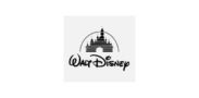 walt-disney-oasis-sublimation sublimated-clothing-manufacturers